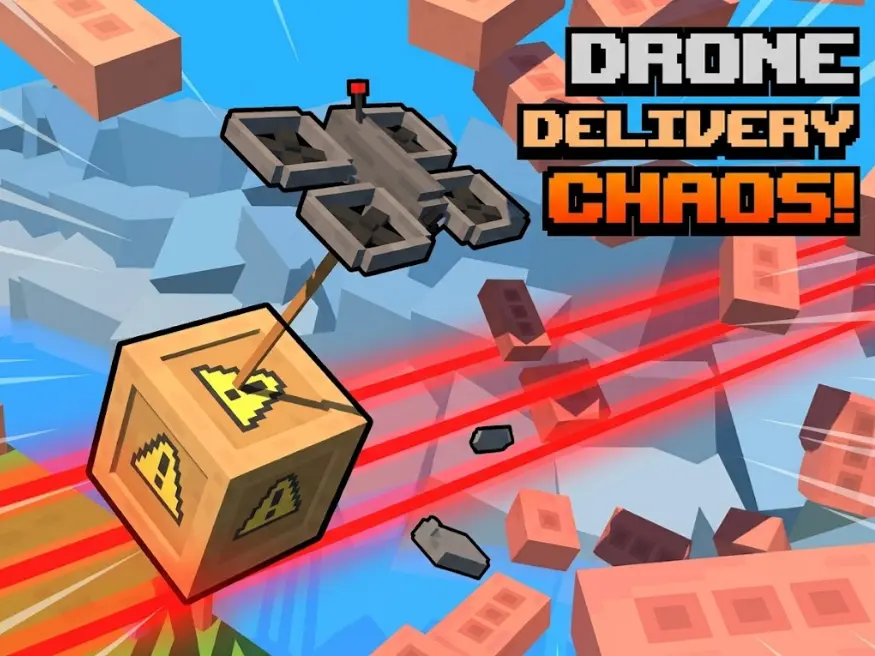 Drone Delivery Choas